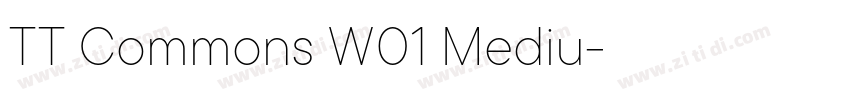 TT Commons W01 Mediu字体转换